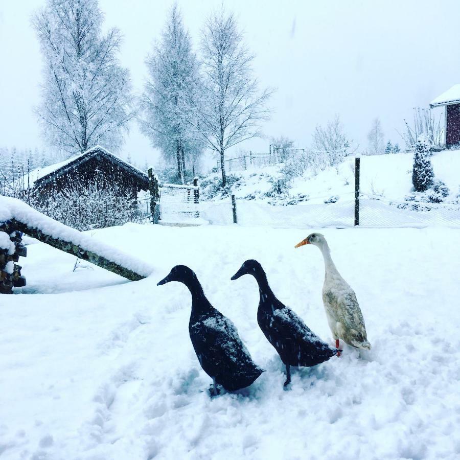Escape To Paulssonpaleo Bed & Breakfast Simlångsdalen Exterior foto